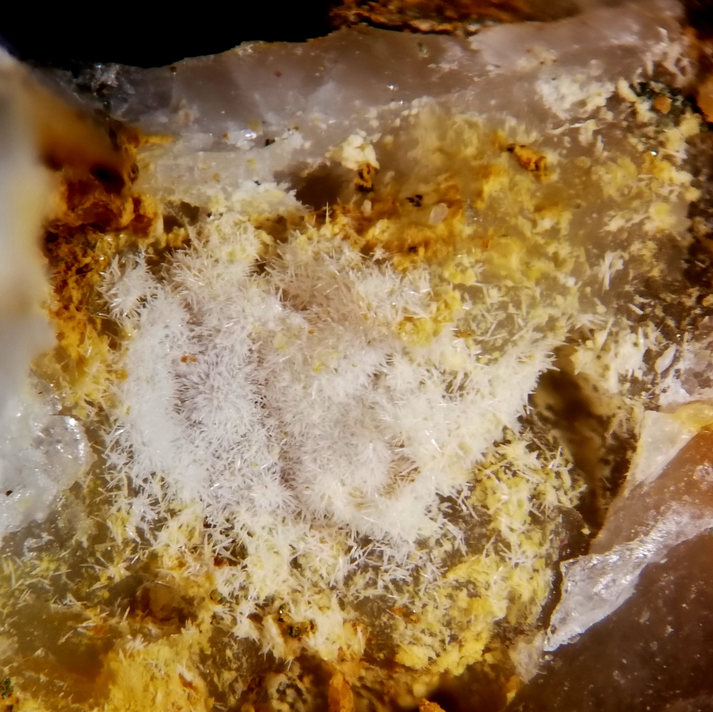 Phosphohedyphane