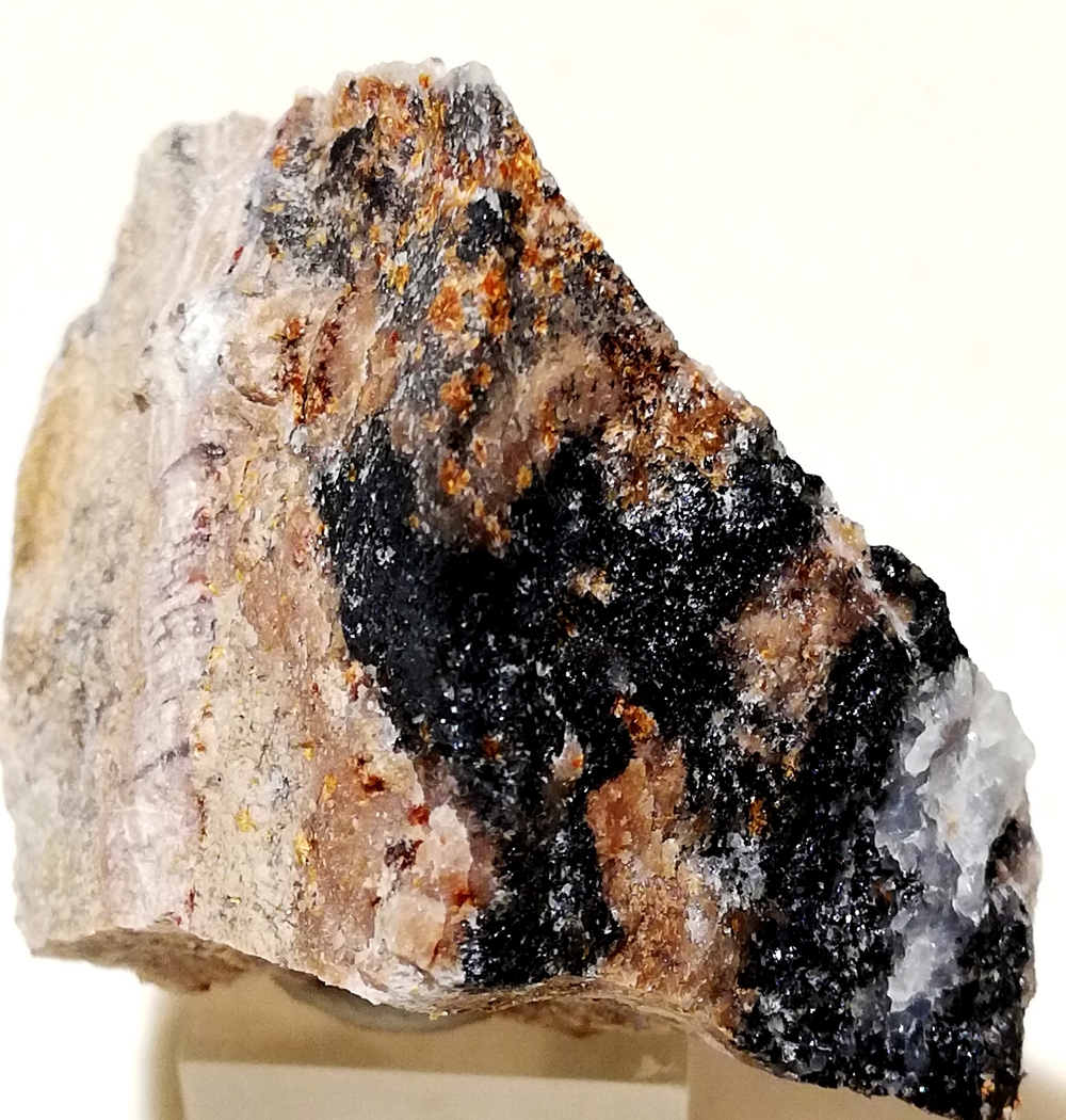 Scheuchzerite