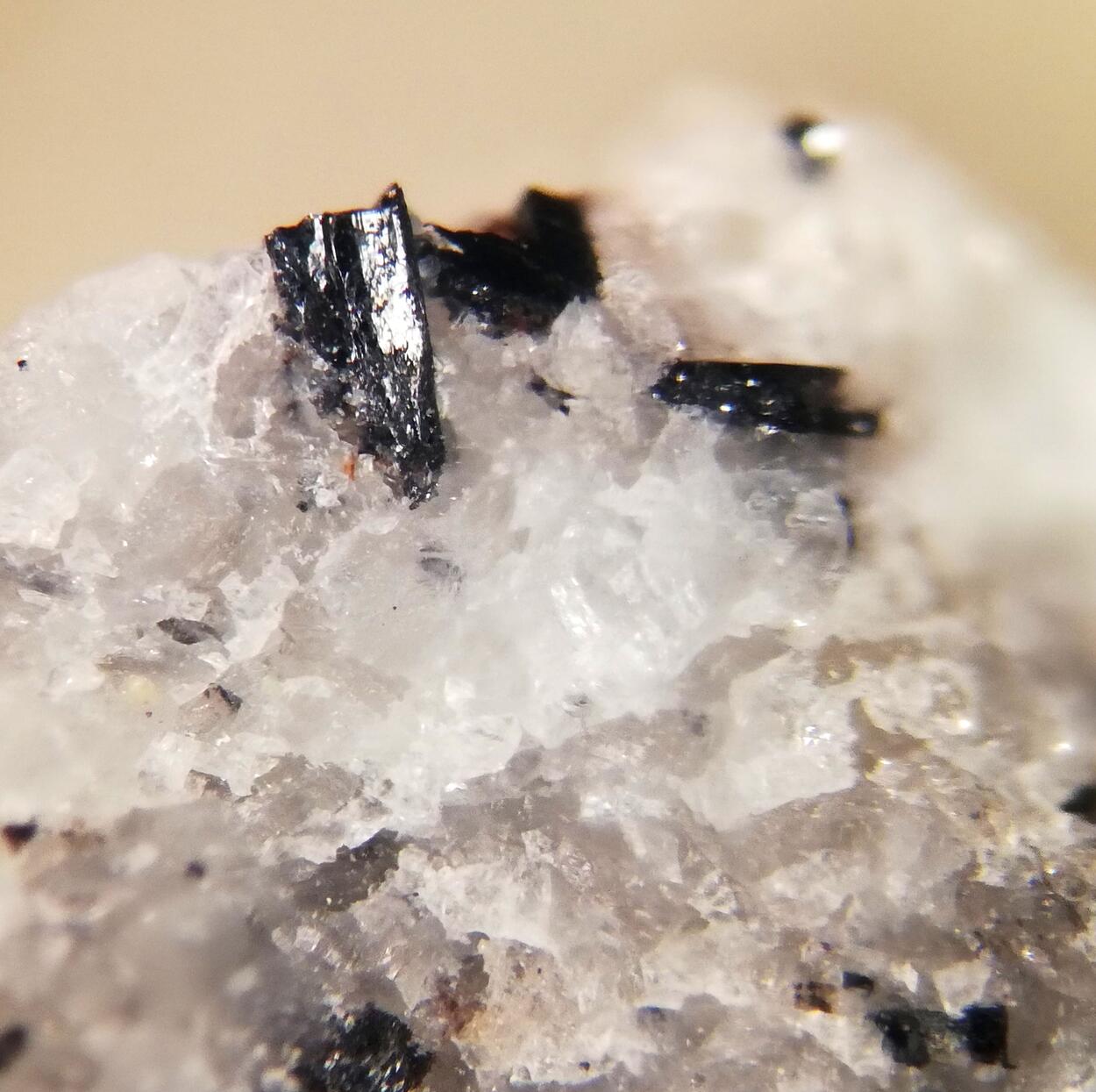 Pinakiolite