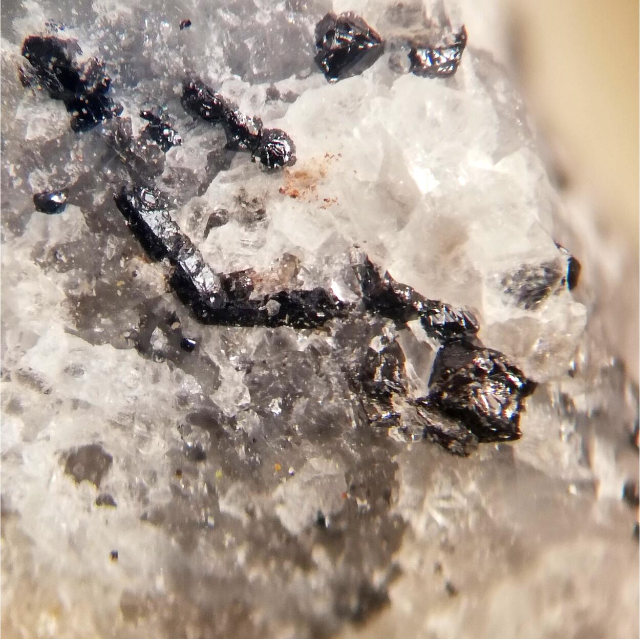 Pinakiolite