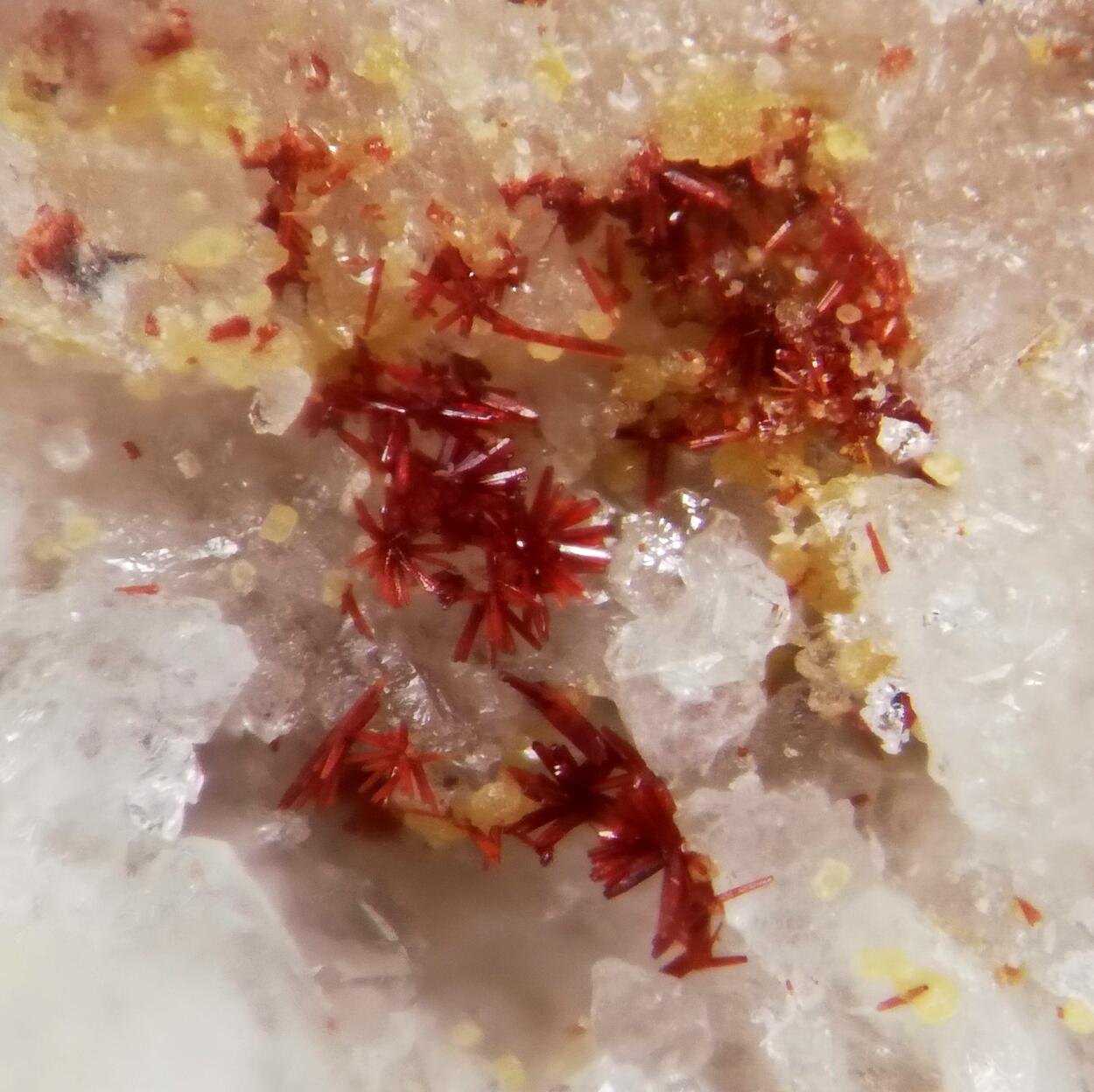 Carminite