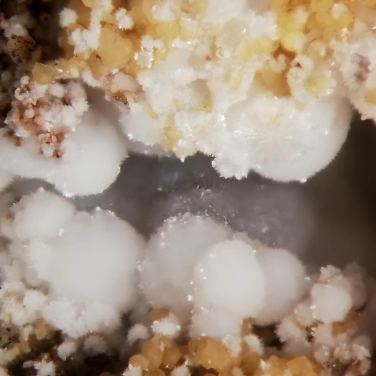 Cowlesite