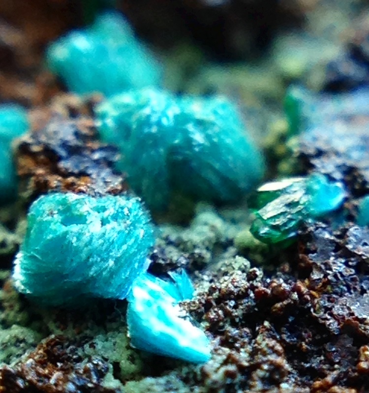 Sampleite & Atacamite