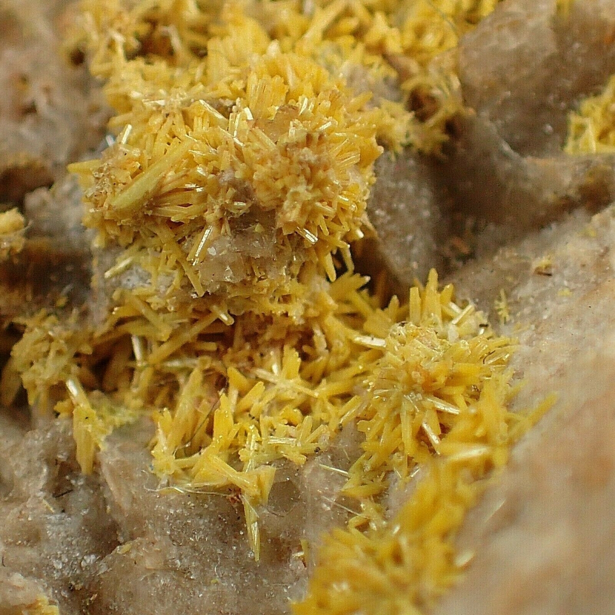 Pyromorphite