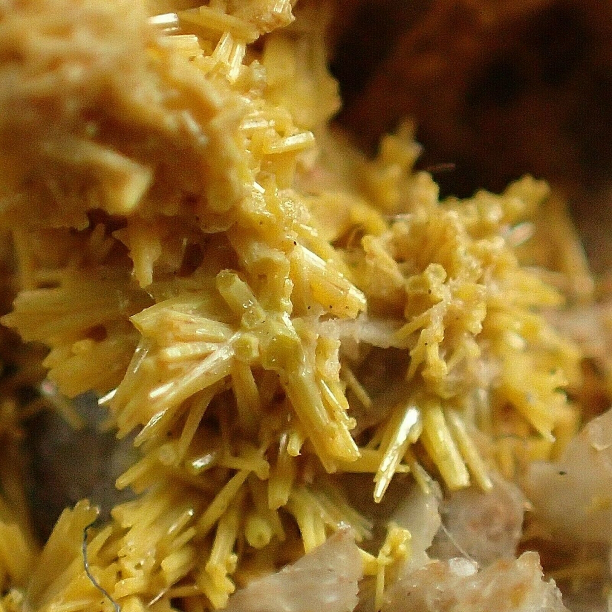 Pyromorphite