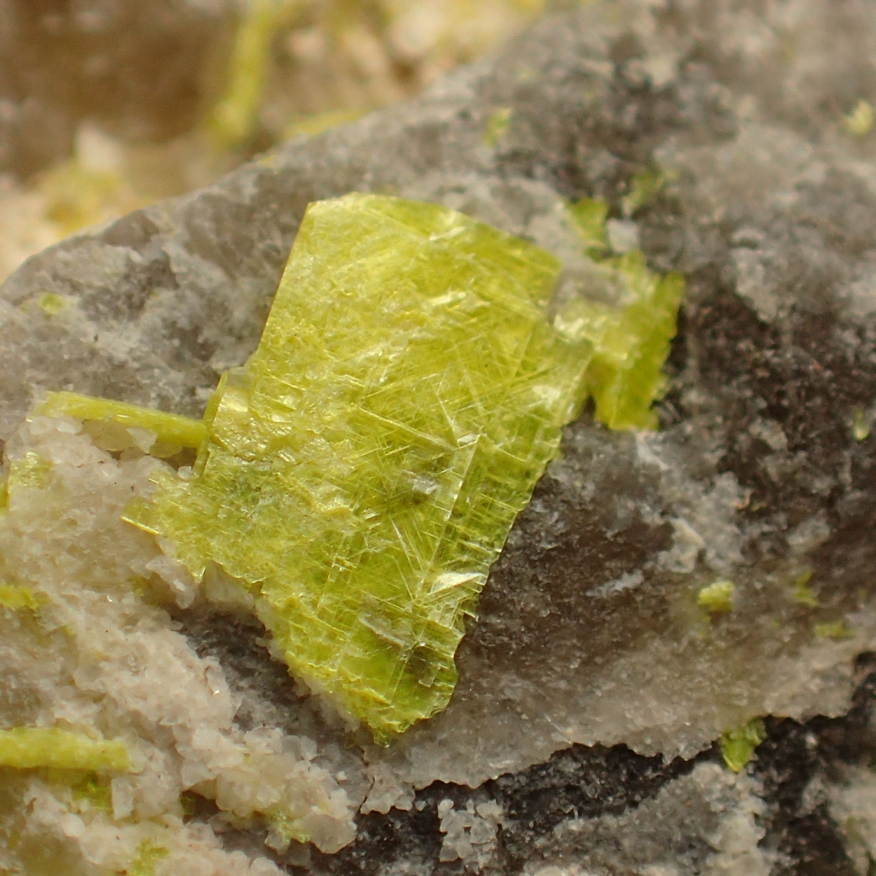 Autunite