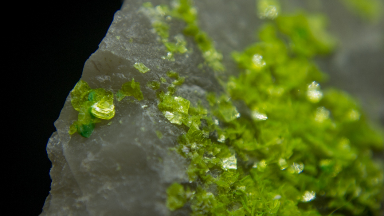 Autunite