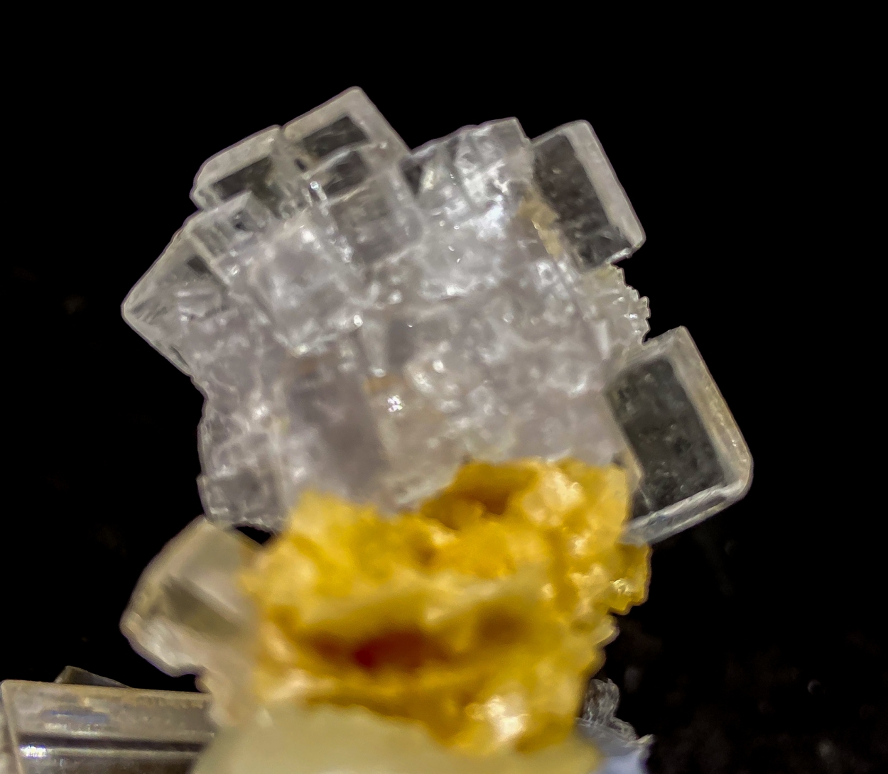 Fluorite & Pyrite