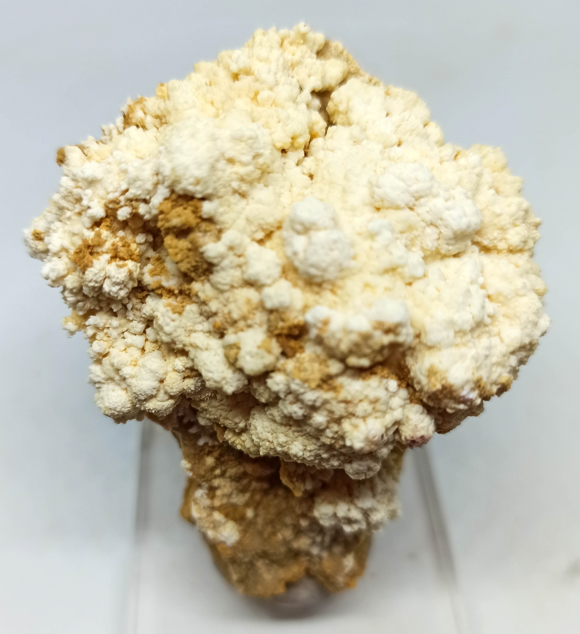 Aragonite