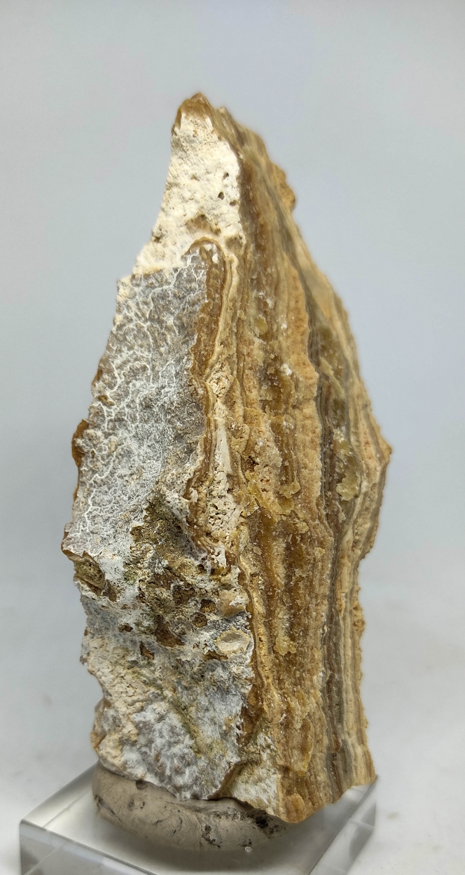Aragonite & Travertine