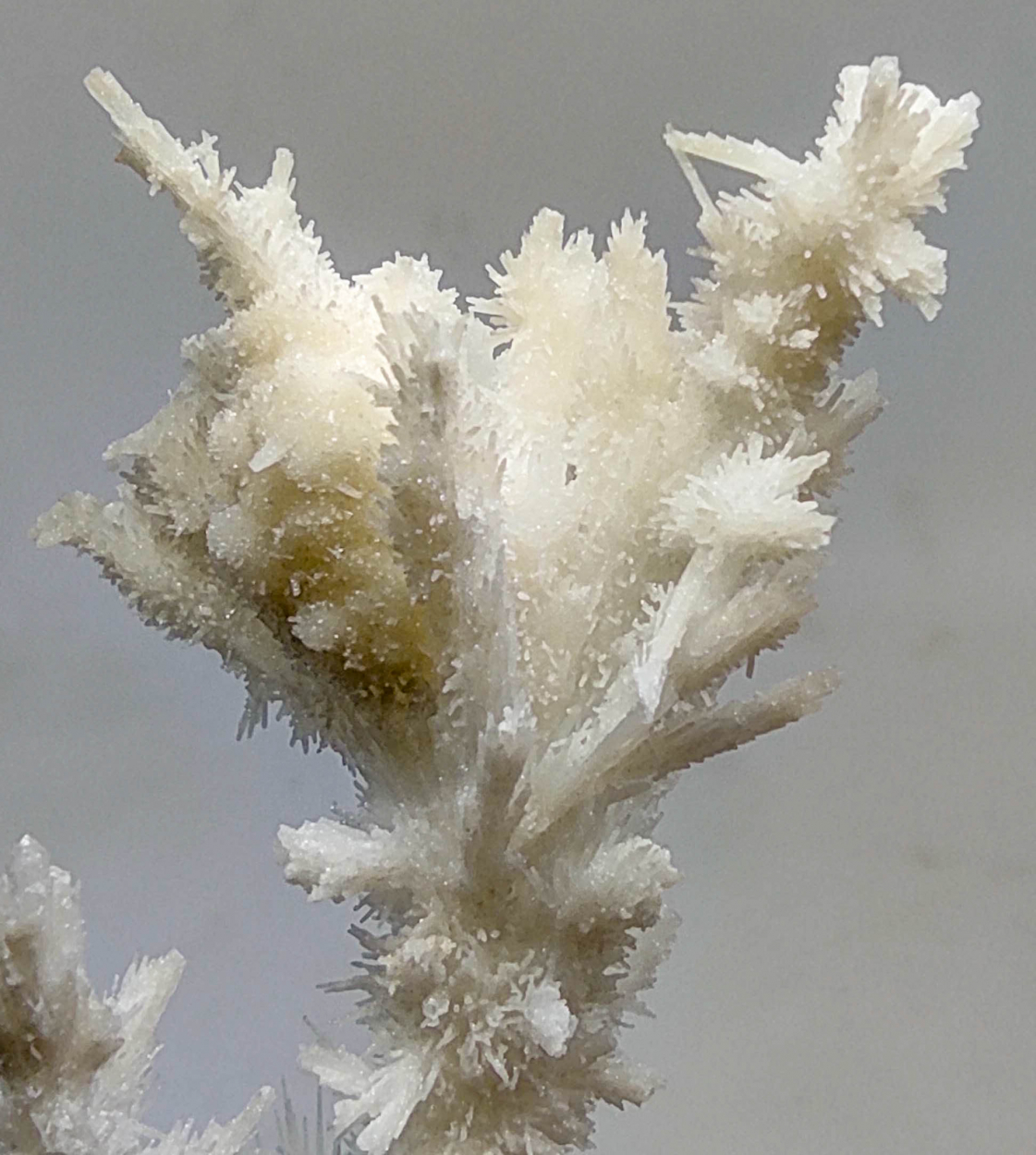 Aragonite