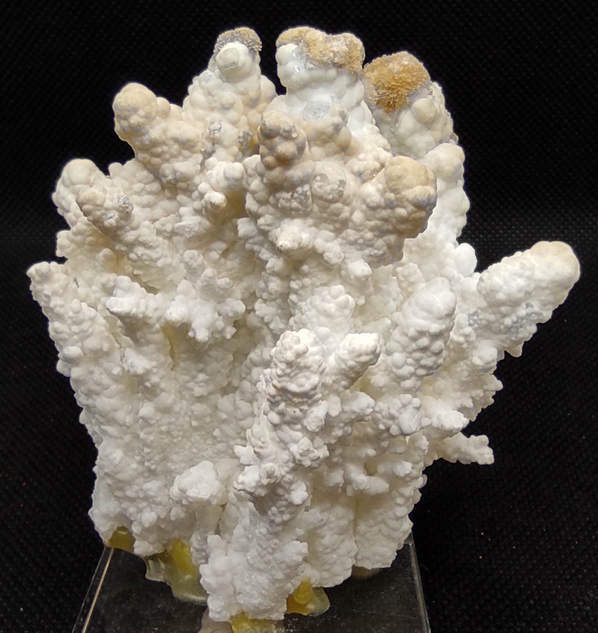 Aragonite