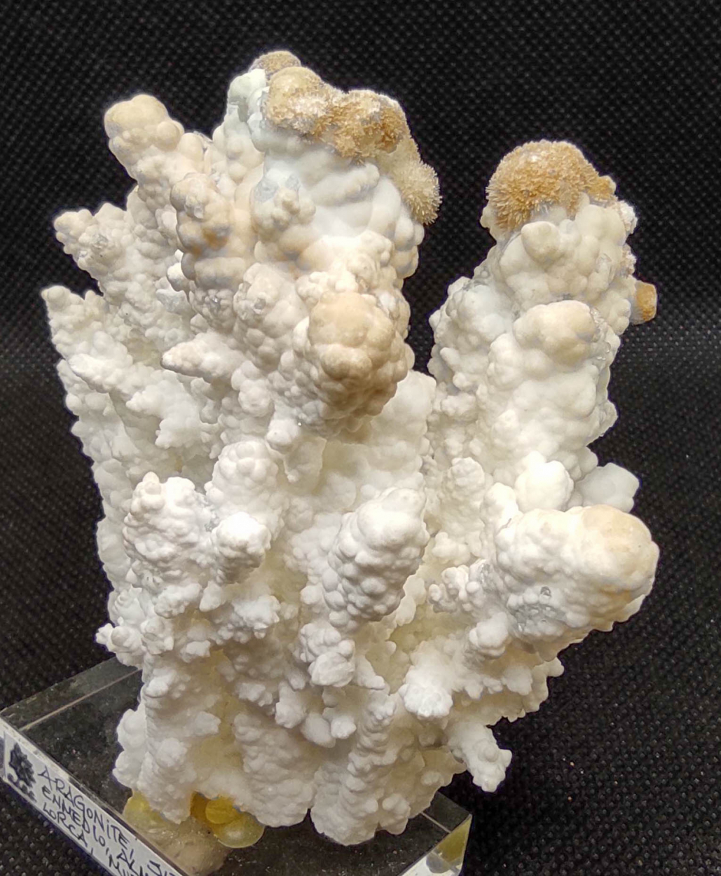 Aragonite