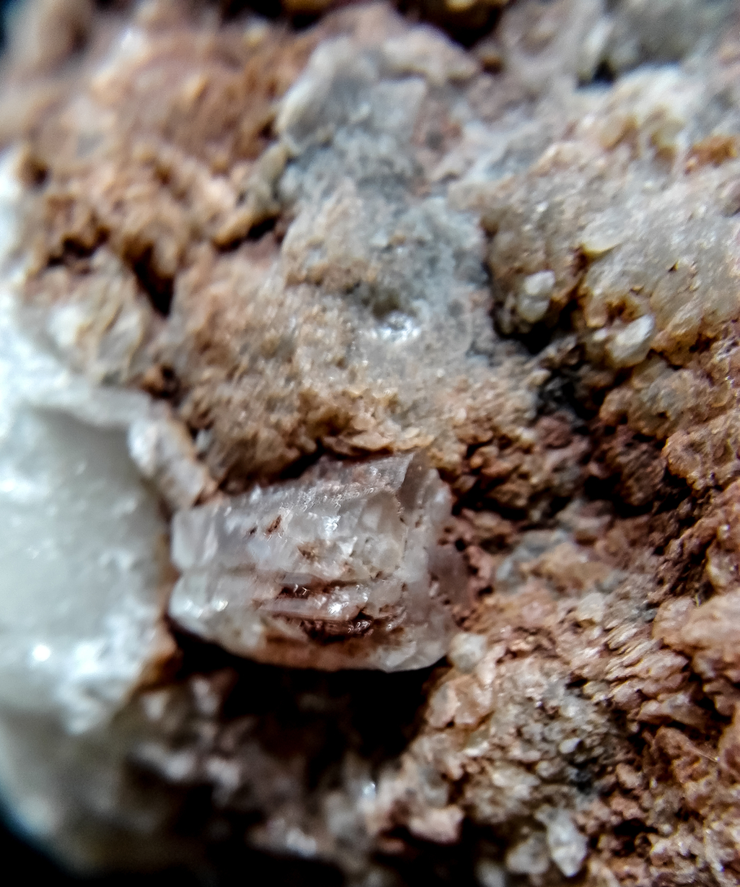 Aragonite On Gypsum