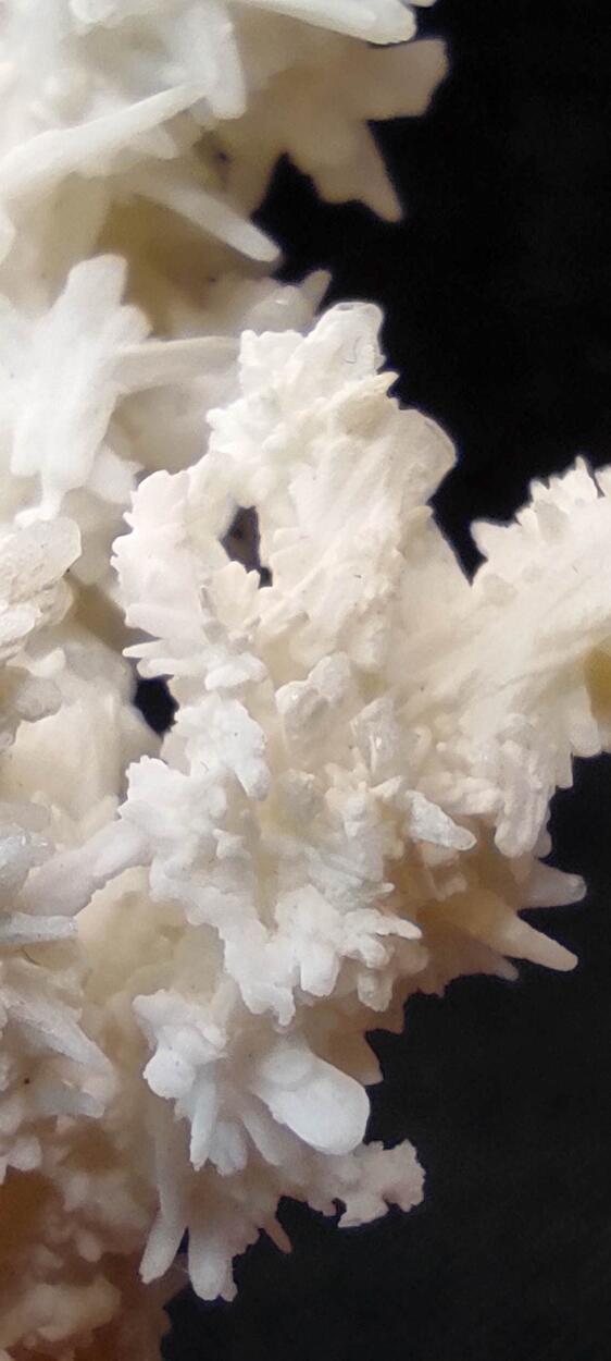 Aragonite