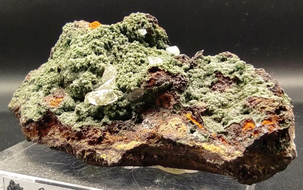 Conichalcite & Calcite