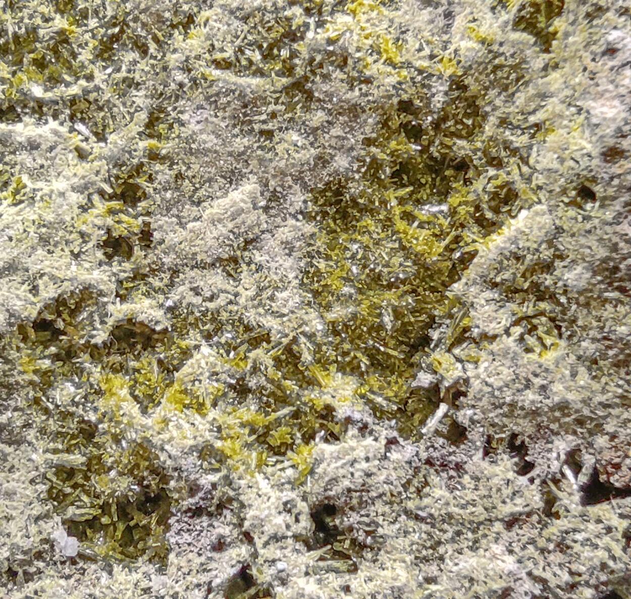 Clinozoisite & Quartz