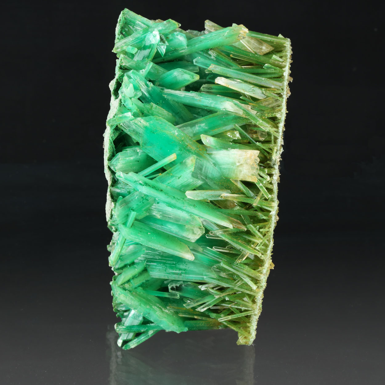 Gypsum Var Selenite With Atacamite & Herbertsmithite