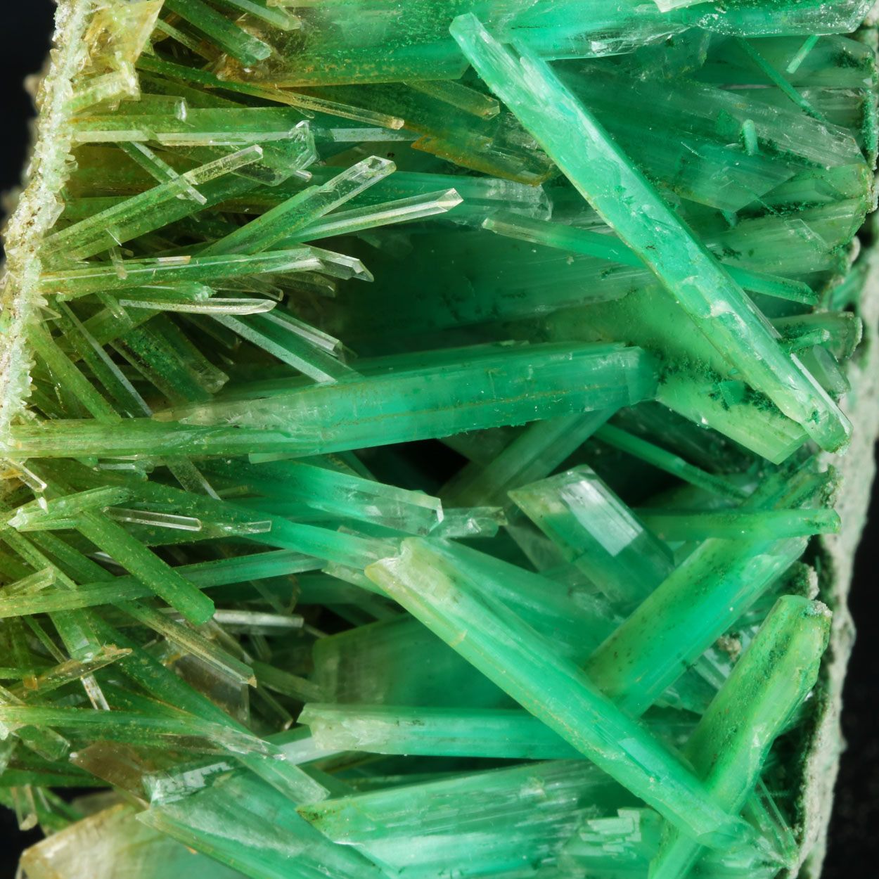 Gypsum Var Selenite With Atacamite & Herbertsmithite