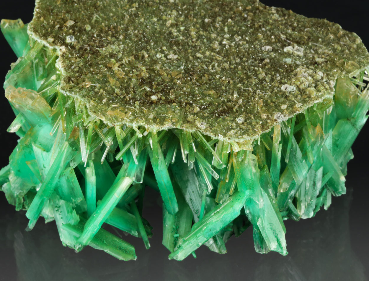 Gypsum Var Selenite With Atacamite & Herbertsmithite