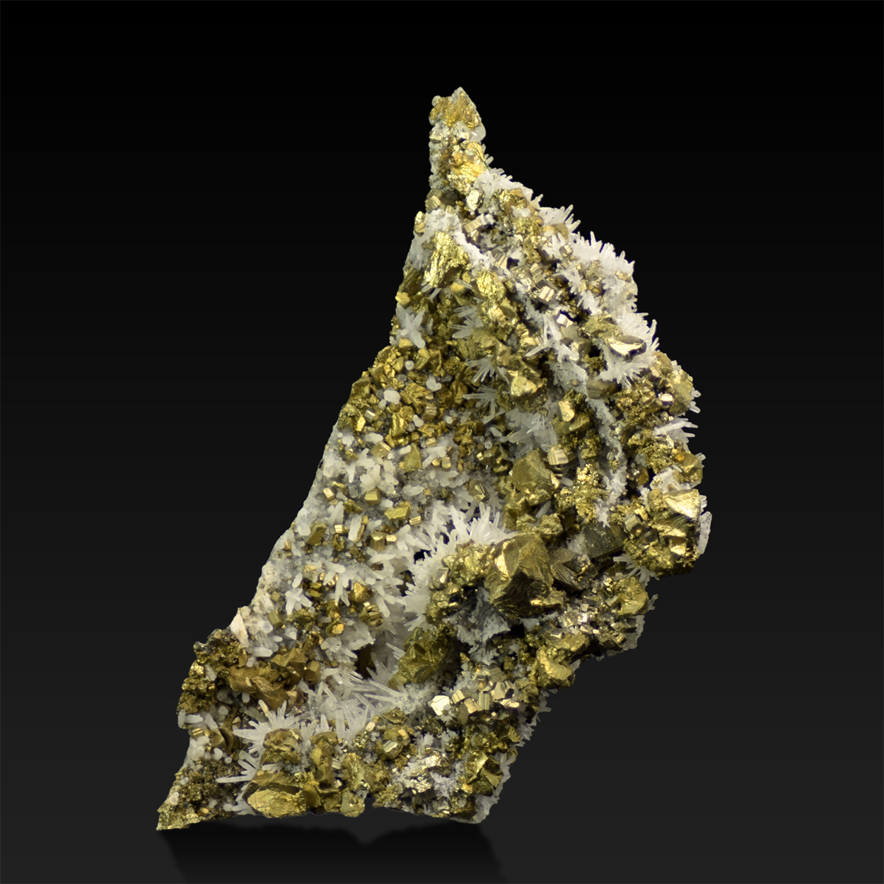 Chalcopyrite Pyrite & Quartz