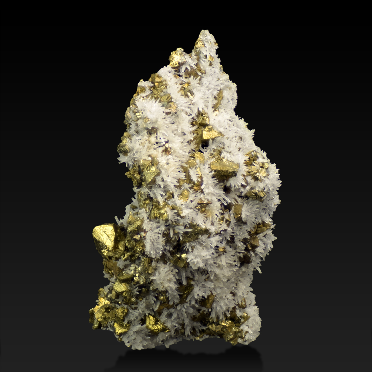 Chalcopyrite Pyrite & Quartz