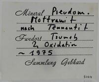 Gebhard Collection label 