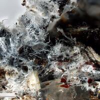 Photos: Tavagnascoite from Bolivia - a significant new find!
