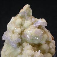 Creedite