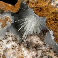 Aragonite