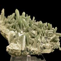 Quartz & Actinolite