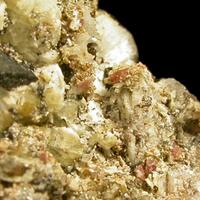 Petarasite