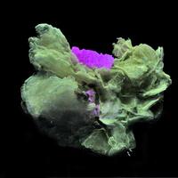 Leucophanite Polylithionite & Sérandite