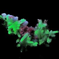 Natrolite & Analcime