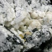 Lamprophyllite & Cancrisilite
