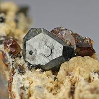Freibergite With Sphalerite