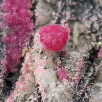 Erythrite