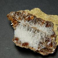 Natrolite Petrified Wood & Calcite