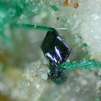 Clinoatacamite