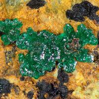 Pseudomalachite