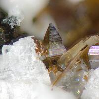 Anatase Brookite & Rutile