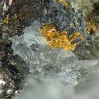 Gold & Tetradymite