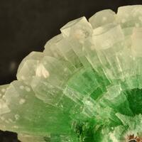 Apophyllite