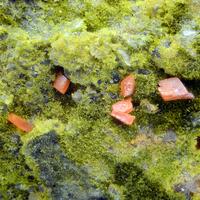 Crocoite & Pyromorphite