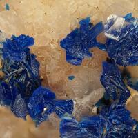 Kinoite & Fluorapophyllite