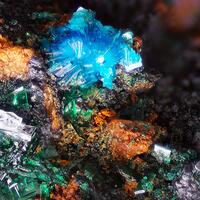 Guanacoite & Atacamite