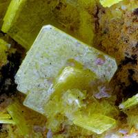 Autunite