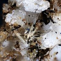 Sidorenkite & Korobitsynite