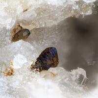 Pyroxmangite