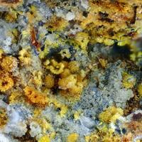 Whitmoreite & Beraunite